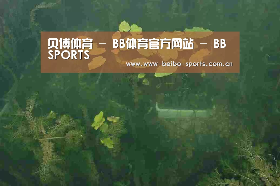 案例展示三(图1)