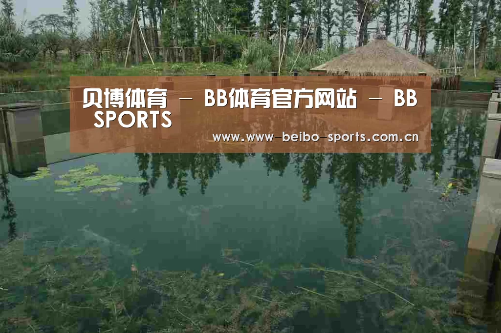案例展示二(图1)