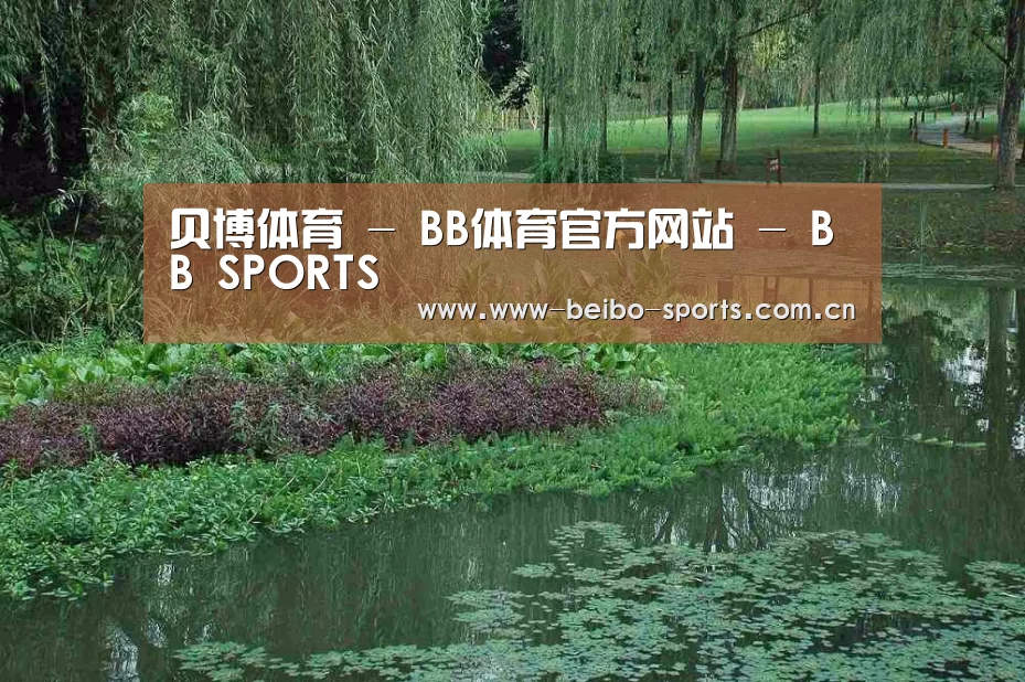 案例展示一