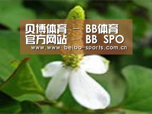 产品名称三