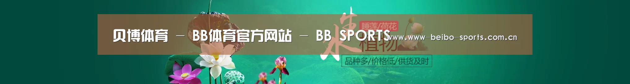 鲜花水草花卉网站模板