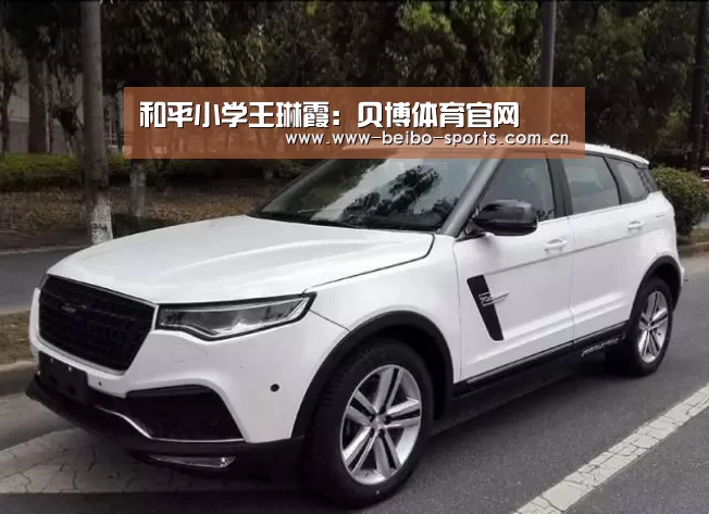 和平小学王琳霞:贝博体育官网(图4) 贝博体育官方网站